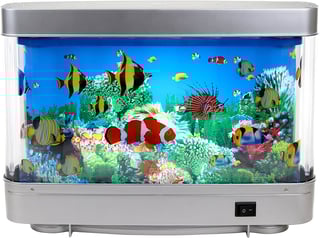 Picture of Aquarium
