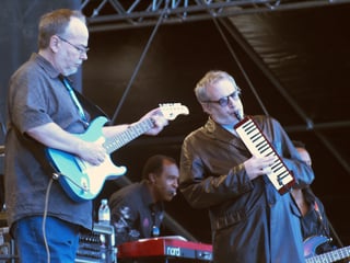 Picture of Steely Dan