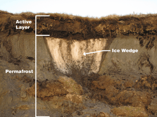 Picture of Permafrost