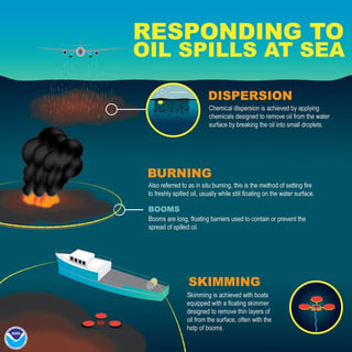 Picture of Oil spill