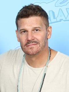 Picture of David Boreanaz