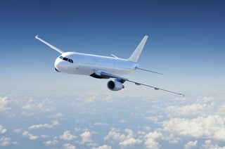 Picture of Flight