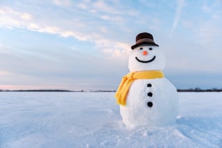 Picture of Snowman