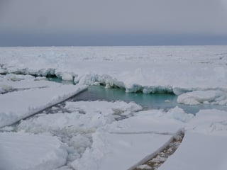 Picture of Ross Sea