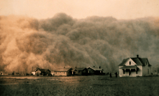 Picture of Dust