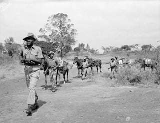 Picture of Mau Mau rebellion