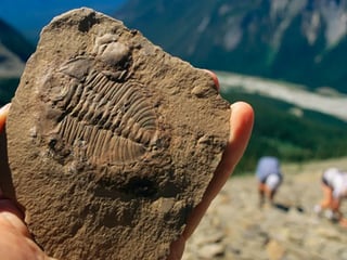 Picture of Burgess Shale