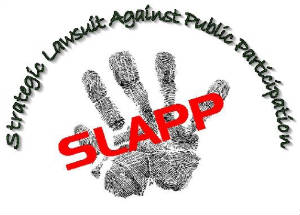 Picture of Strategic lawsuit against public participation