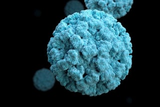 Picture of Norovirus