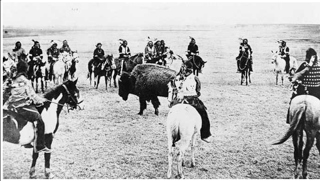 Picture of Tejanos