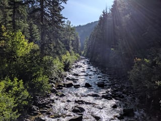 Picture of Pacific Crest Trail