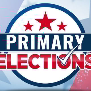 Picture of Primary election