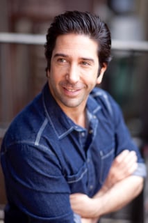 Picture of David Schwimmer