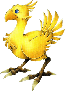 Picture of Chocobo