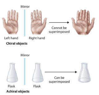 Picture of Handedness
