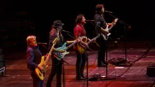 Picture of The Doobie Brothers