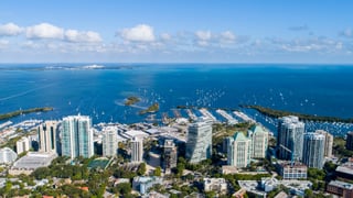 Picture of Coconut Grove
