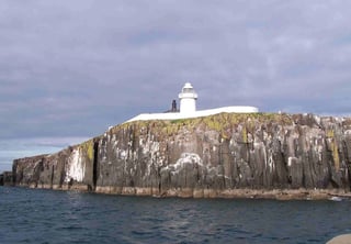 Picture of Farne Islands