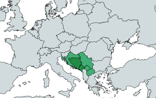 Picture of Bosnian