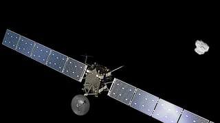 Picture of Rosetta