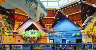 Picture of Saint Louis Zoo