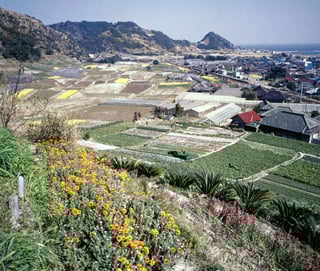 Picture of Chiba Prefecture