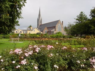 Picture of Tralee