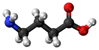 Picture of γ-Aminobutyric acid