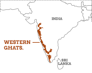 Picture of Western Ghats