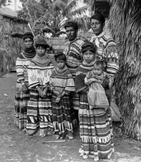 Picture of Seminole