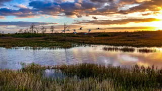 Picture of Everglades National Park