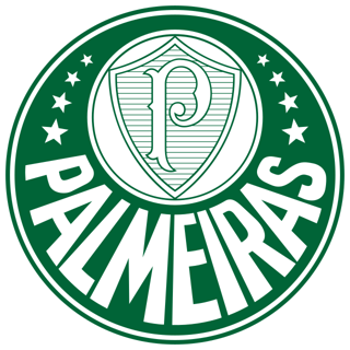 Picture of Sociedade Esportiva Palmeiras
