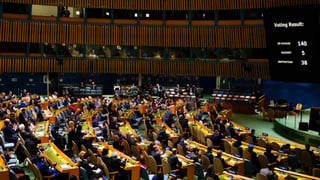 Picture of International community