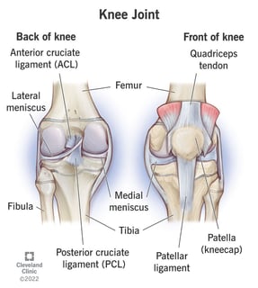 Picture of knee