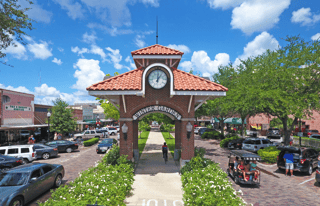 Picture of Winter Garden