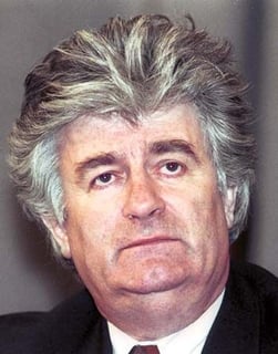 Picture of Radovan Karadžić
