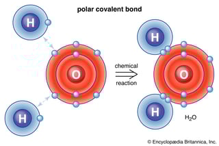 Picture of Chemical polarity