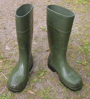 Picture of Wellington boot