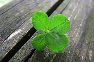 Picture of Luck