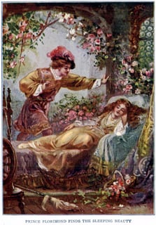 Picture of Sleeping Beauty