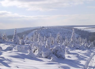 Picture of Ore Mountains
