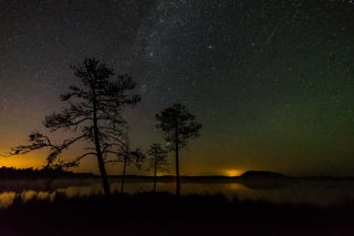 Picture of Night