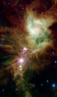Picture of NGC 2264