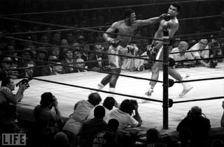 Picture of Fight of the Century