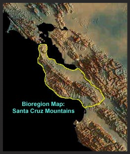 Picture of Santa Cruz Mountains