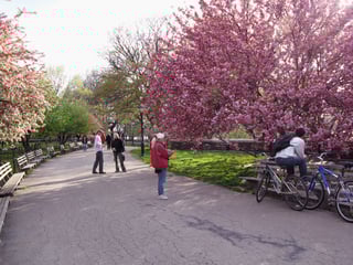 Picture of Riverside Park