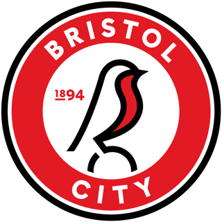 Picture of Bristol City F.C.