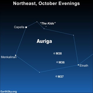 Picture of Auriga