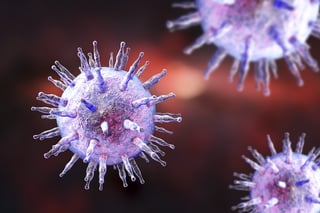 Picture of Epstein–Barr virus