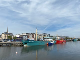 Picture of Wexford